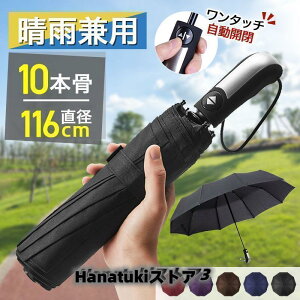 P Y ܂肽 傫 P JP y J ܂肽ݎP ܂ݎP Y fB[X v 10{  Jp y