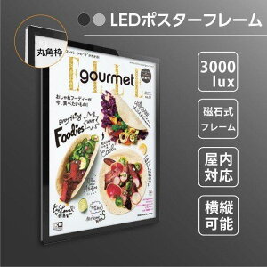 �y���������zLED�|�X�^�[�t���[�� W630×H880mm �}�O�l�b�g�z���� LED�p�l�� ����15mm �t���[����30mm A1�T�C�Y �����d�l (MGL-30R)