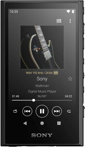 �\�j�[ SONY �E�H�[�N�}�� 32GB A300�V���[�Y NW-A306 ���R�q��