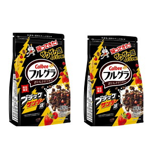 2܃Zbg tO ubNT_[ 500g Jr[@mq