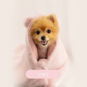 qLO1ʁryoM[[uz ѕz |` ybgJ[g t[X uPbg U }g ybg ӂӂ h p  AE^[ R[g  zc  n[Xy