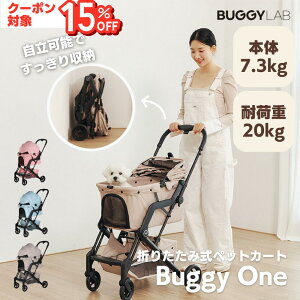 mxeB{N[|zzyybgJ[g BUGGY LAB oM[z܂肽ݎ ̌^  y 4փybgJ[g Ζʎ J[g hbOJ[g poM[  ^ ω׏d20KG