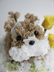 送料無料 犬 わんこ プリザーブドフラワー 「プリもこちゃん ミニチュアシュナウザー」フラワーギフト カーネーション お祝い シュナウザー 誕生日 結婚祝い 新築祝い 名入れ