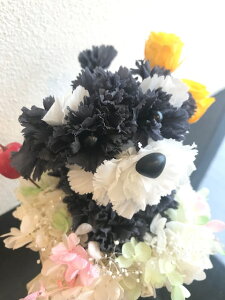 送料無料 犬 わんこ プリザーブドフラワー 「プリもこちゃん ミニチュアシュナウザー」フラワーギフト カーネーション お祝い シュナウザー 誕生日 結婚祝い 新築祝い 名入れ