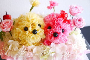 vU[uht[uvlovevNAP[X@j@ԁ@v[g@D@񂱁@wj@ސEj@vU[uht[@J[l[V@j@