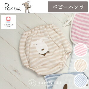 赤ちゃん パンツ ベビー服肌着 下着の人気商品 通販 価格比較 価格 Com