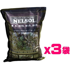 水で練って 固まる土 ネルソル 15L（5L×3袋）多肉植物寄せ植え培養土 水をかけると固まる土 サボテン サキュレント アレンジ ハンギング 花苗 タブロー 花壇 板付 花壇 ガーデニング※同梱不可※運送便指定不可