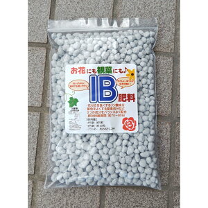 IB엿 700g TCYijY҂gpIB엿 o ʎ A ϗtA ԕc  | ƒ؉ 엿  c(s,^֎ws) 蒷