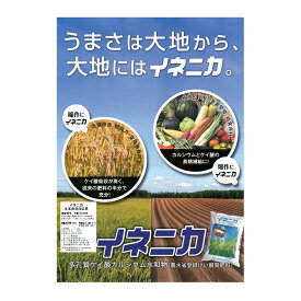 イネニカ 750g お試しサイズ（クロネコゆうパケット送料無料）多孔質ケイ酸カルシウム水和物 たねまき 覆土 園芸 家庭菜園 肥料 ケイカル 播種 倒伏防止 水稲 土壌改良 youtube 地温上昇防止 農チューバー 育苗(同梱不可,運送便指定不可)