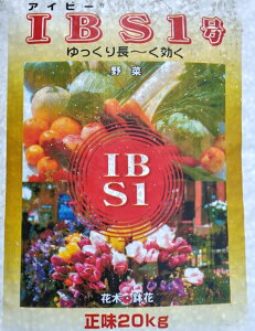 IBS1 20kg Ɍ엿10-10-10 蒷 IB엿 | ƒ؉ c(s,^֎ws)