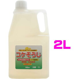 コケそうじ 濃縮液 2L 業務用（20倍希釈タイプ）いしくらげ対策【当店指定の運送便になります】除草剤 苔掃除 お墓のこけ 原液