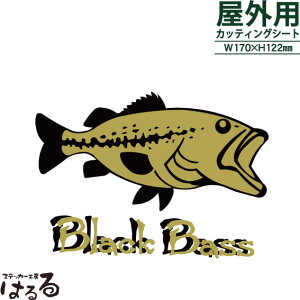 yzubNoX/c[g[]ʎJbeBOXebJ[yނEEAEghAzy[֑Ήz