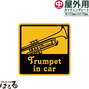 yzTrumpet in car(gybg)/TCY]ʎJbeBOXebJ[yy yzy[֑Ήz