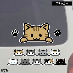 yVizyXebJ[zIׂ2TCY10ނ̔LIׂXebJ[Zbg1E1E21V[gCNWFbgXebJ[y[֑Ήz