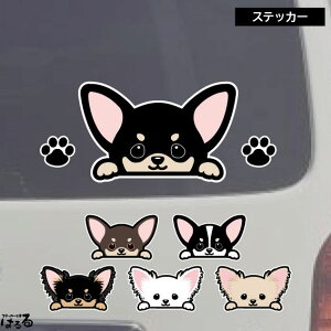 yVizyXebJ[zIׂ2TCY20ނ̃`IׂXebJ[Zbg1E1E21V[gCNWFbgXebJ[y[֑Ήz