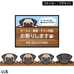 【ステッカー/マグネット】選べる4種類のパグ/2サイズセールス・勧誘・チラシ投函 お断り パグ犬インクジェットステッカー【メール便対応】