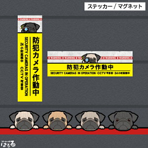 �y�V���i�z�y�X�e�b�J�[/�}�O�l�b�g�z�I�ׂ�4��ނ̃p�O(�����E�c��)�h�ƃJ�����쓮��(�f�U�C��1)�R���N���[�g�C���N�W�F�b�g�X�e�b�J�[�@(�p�O��)WARNING�y���[���֑Ή��z