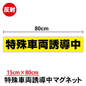 yz˃^Cv ԗU }OlbgXebJ[ 80cm 傫 rbOTCY gbN  ~l[gH tN^[ Ŕ TC UԗpXebJ[  N[ g