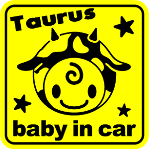 y}OlbgXebJ[z baby in car }Olbg  p^rxr[CJ[ Ԃ񂪏Ă܂ xCr[CJ[   킢 Vv  蕨 oYj v[g yV 