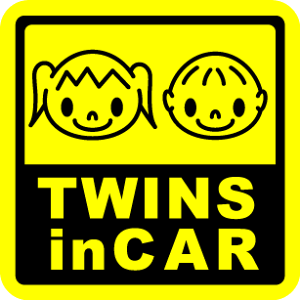 y}OlbgXebJ[zTwins in car oq̒j̎qƏ̎q p^ Ԃ񂪏Ă܂ 킢 xr[CJ[ Z o  CXg 킢 Vv LN^[ yV V[ 