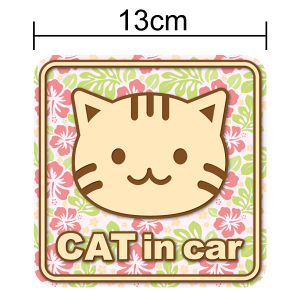 y}Olbg XebJ[zcat in car nCA AJV[gwA[p^lRĂ܂  킢 LbgCJ[ LĂ܂ An Vv  nCrXJ