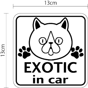 マグネットステッカー cat in car エキゾチック キャットインカー 猫が乗っています 猫 ねこ ネコ かわいい おしゃれ キャラクター オリジナル おでかけ 病院 動物 磁石 ペット 車 カー用品 お