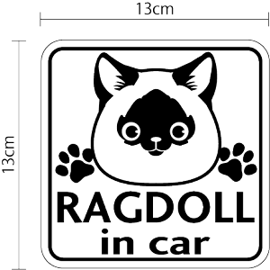 }OlbgXebJ[ cat in car Oh[ LbgCJ[ LĂ܂ L ˂ lR 킢  LN^[ IWi ł a@   ybg  J[pi o