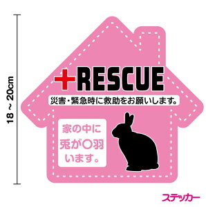 yЊQ~XebJ[z{RESCUEXebJ[18cm`20cmЊQ ybg~ hЃXebJ[ ~o XebJ[ V[ Ύ ϐ nk 䕗  L e Ck lR ETM  ˂ Ƒ hЃObY A