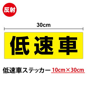 yz ˃^Cv ᑬ XebJ[ 30cmtN^[  TC gbN  ԗ ᑬԗ S \ ڈ  YƗp p StJ[g ߗ׎ԗ V[ ~l[g