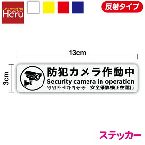 y  ^Cv XebJ[ zhƃJ쓮 ^ 13cm p ؍  h `V @hƃXebJ[  h^Cv Z[Xf ΍ J h |Xg Ap[g }