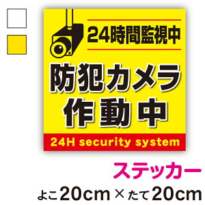 yXebJ[zӊNXebJ[hƃJ쓮p^20cmTCYZLeB h ^ 24 ΍ ӊN  H  ē {  O wZ   n \ V[ 傫