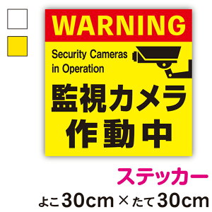 yXebJ[zӊNXebJ[ĎJ쓮p^30cmTCYZLeB h ^ 24 ΍ ӊN  H  ē {  O wZ   n \ V[ 傫