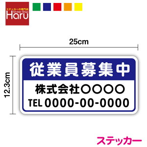 y XebJ[ ^Cv zW 25cmdbԍAЖX^btW ЈW p[g AoCgW hCo[W l h ϋv O  V[ HX   J[pi ̗p l 