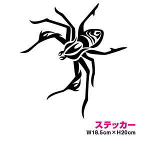 gCoXebJ[END20cmXpC_[ spider w JbeBO XebJ[ h O AEghA Xm[{[h  oCN T[t{[h V[ ϐ yV ʔ