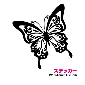 gCo XebJ[ C20cmJbeBO V[ AEghA h ϐ  oCN wbg X[cP[X Xm[{[h B LY yV ʔ