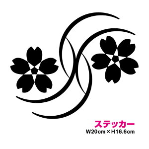 y B XebJ[ zgCo  20cm JbeBO fJ[ V[ AEghA LY h ϐ  oCN wbg X[cP[X Xm[{[h  a  傫 |C