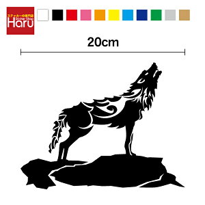 y B XebJ[ zgCo ႦT 20cmJbeBO fJ[ V[ LY AEghA h ϐ  oCN wbg Xm[{[h X[cP[X yV ʔ