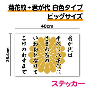 y rbOTCY z eԖ + N ^Cv XebJ[ 40cm傫 h {lbg ϋv  eƖ e  ě eԖ  {  E XebJ[ 