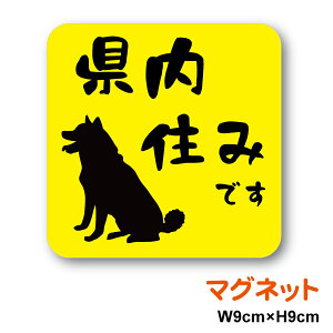 }Olbg^CvZ݂łFČ y9cmzXebJ[ Ri Oo hCu Z[teB ΍  p  ybg Ck S^]  h~  킢 ^]  J[pi 