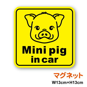 y}OlbgXebJ[zMini pig in car@p^~ju^Ă܂ ~ju^ u^ GL]`bNAj}  Animal 킢  Vv ړ a@ ʉ@ s o  h 