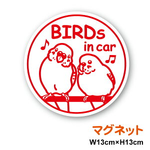 y}OlbgXebJ[zBirds in car ZLZCCR ی^o[h CJ[  CR   Oo hCu  ʉ@ S^] ԗp 킢   Aj} I 