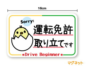 y}OlbgXebJ[z^]Ƌ藧Ăł 16cmJ[ VЉl S҃}[N XIWifUC hCurMi[ drive Beginner ʈS S^] ӊN qR 㑱 As[