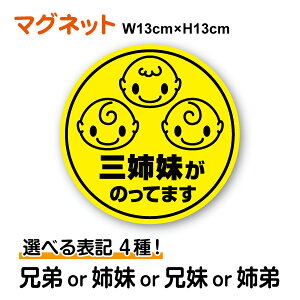 y }Olbg XebJ[ zO傤̂Ă܂ ی^ Iׂ\L4Z o Z o Triprets baby kids child in car CJ\ Ԃ qǂ 3l j̎q ̎q Oq OZ Oo 