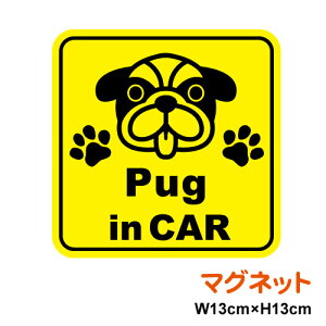 y}OlbgXebJ[zdog in car pO p^hbOCJ[ 񂱂Ă܂  킢  V[ yV ʔ́yύXΏۏiz