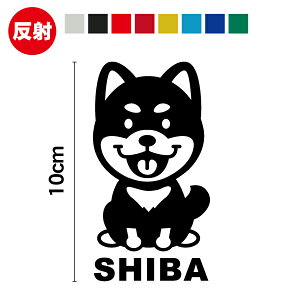 y  zČ P XebJ[ 10cmΌ JbeBOXebJ[ JbeBOV[g  VoCk CXg VGbg  킢  V[ ybg dog  Aj}  