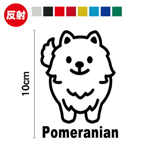 y  z|jA P XebJ[ 10cmVGbg JbeBOXebJ[ JbeBOV[g CXg | pomeranian  dog Aj}  킢  񂿂 R Ck 