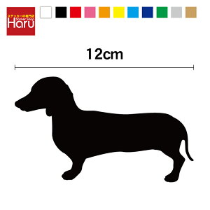 y VGbgXebJ[ z ~j`A_bNXth 12cm3M(X[G) JbeBOV[g JbeBOXebJ[ ؂蔲  Ck       h B