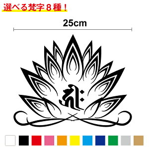 yJbeBOXebJ[z + @ 25cmIׂ鞐 8ރJbeBOV[g  傫 AKX   CpNg ڗ @̉ ϋv h tB oCN  XP{