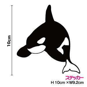 yV` XebJ[zV` 10cm3M(X[G) JbeBOV[g JbeBOXebJ[ ؂蔲 C   VGbg Cb  h B V[  oCN wbg