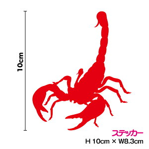 yVGbgXebJ[zT\ XR[sIAyJ[11ށz] XebJ[ JbeBO fJ[ h  T[tB oCN wbg Xm[{[h B  yV ʔ V